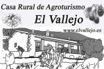 elvallejo.es
